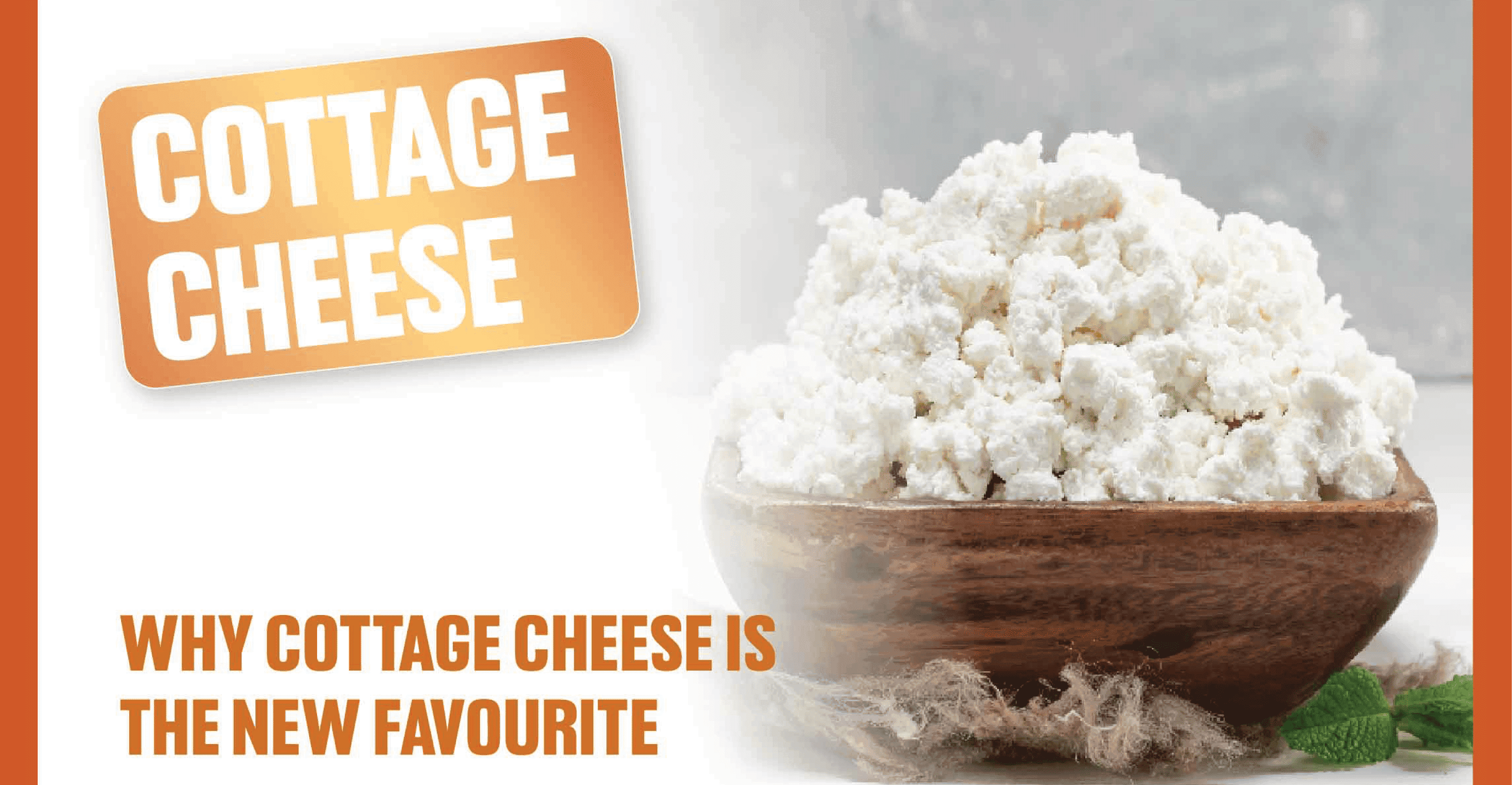 Cottage Cheese Recipes
