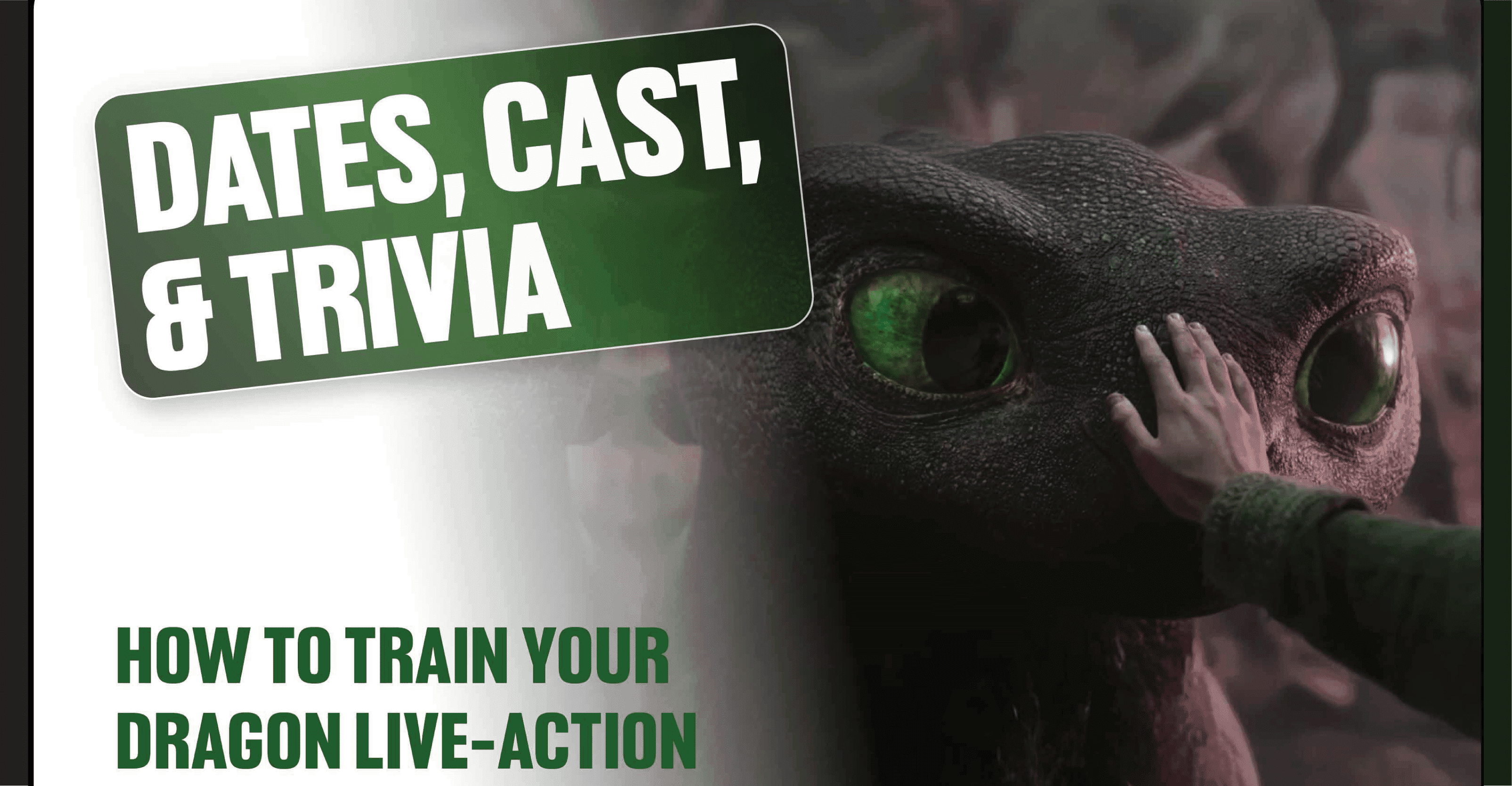 How To Train Your Dragon