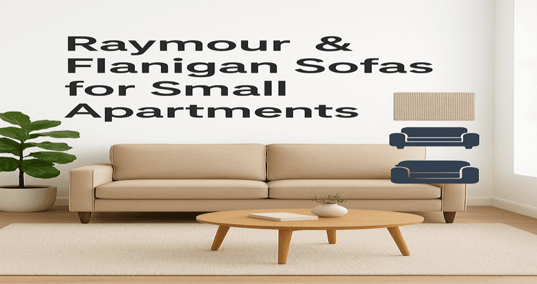 Best Raymour and Flanigan Sofas for Small Apartments